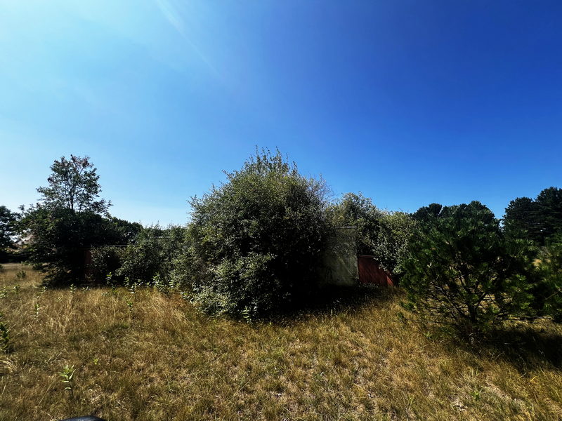 Chippewa Drive-In Theatre - Aug 21 2024 (newer photo)
